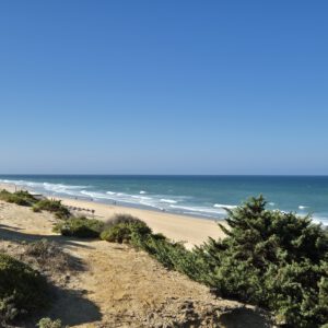 Auf den Spuren meiner Protagonisten